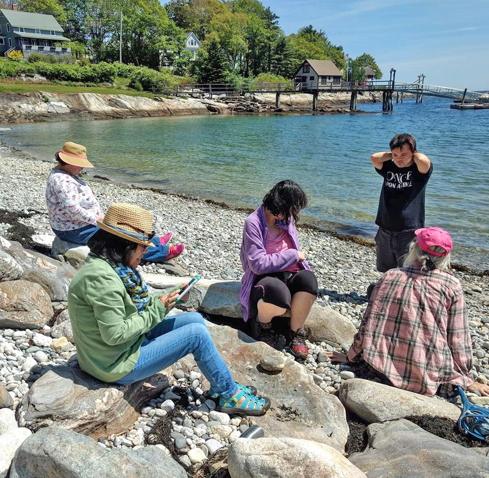 Four people sit and one stands on rocks at the water's edge of a cove on the Maine coast, with piers and a spit of land with houses behind them